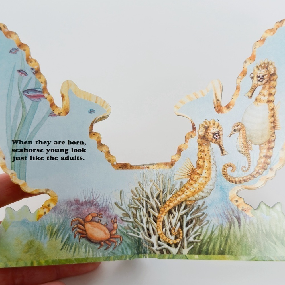 Portable Pets Seahorse Board Book​ - Picture 5 of 7